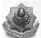 Cheshire Regiment Badge